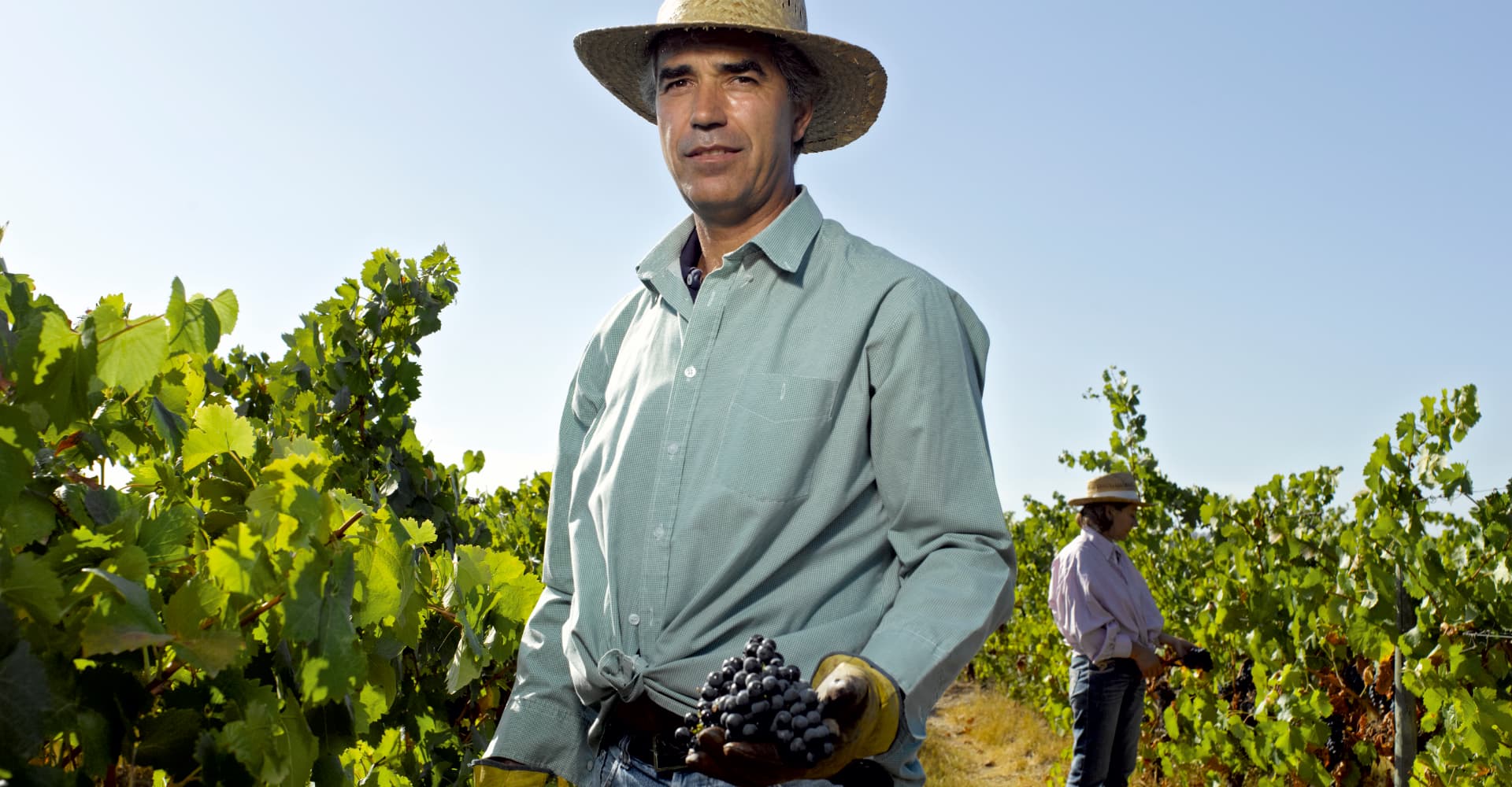 Luis Santos - Winemaker